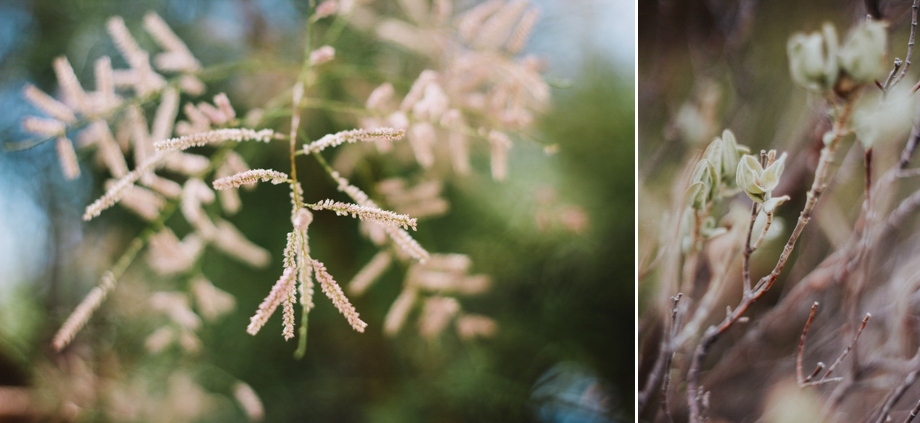 Photographe mariage provence drome reportage provence maussane l