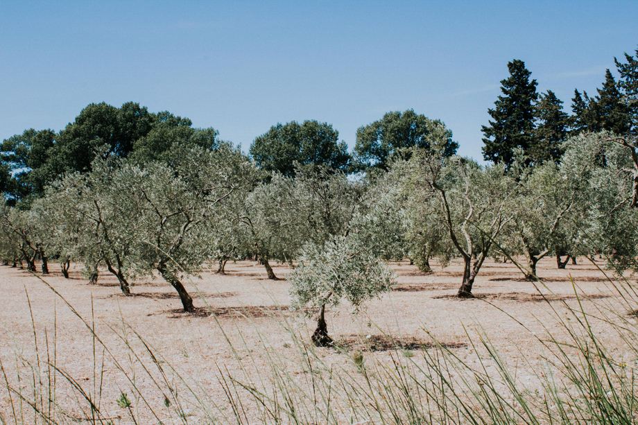 Photographe mariage provence drome reportage provence maussane l