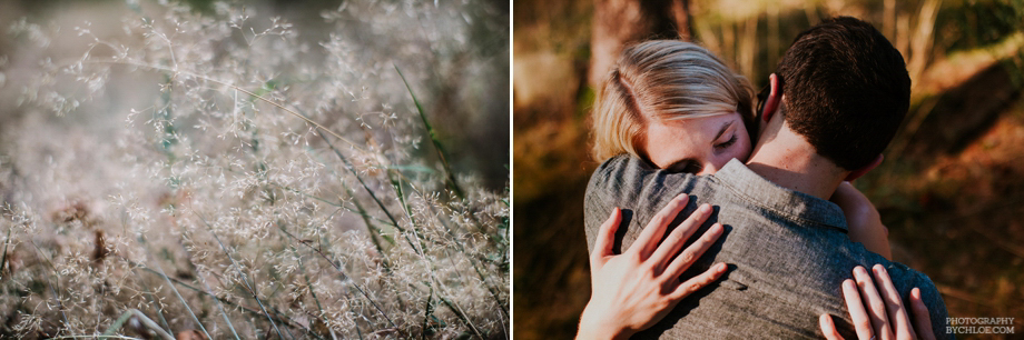 Photographe mariage strasbourg seance engagement champetre monta