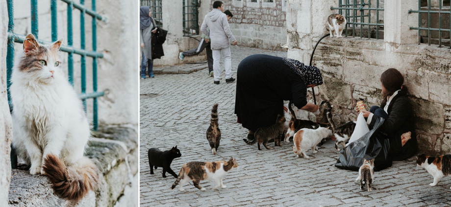 travel_photographer_wanderlust_santorini_istanbul_thailand_chiangmai_pai_bangkok_destination_wedding_photographer-3