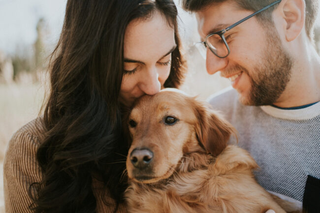 portrait chien strasbourg alsace vosges