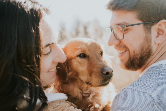 portrait chien strasbourg alsace vosges