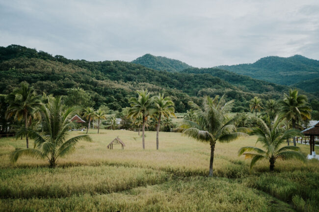 photographe mariage thailande laos cambodge