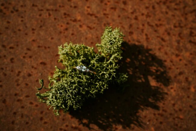 wedding photographer thailand