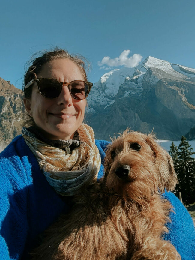 photographe animaux compagnie