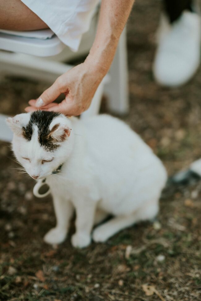 photographe mariage chateau sannes